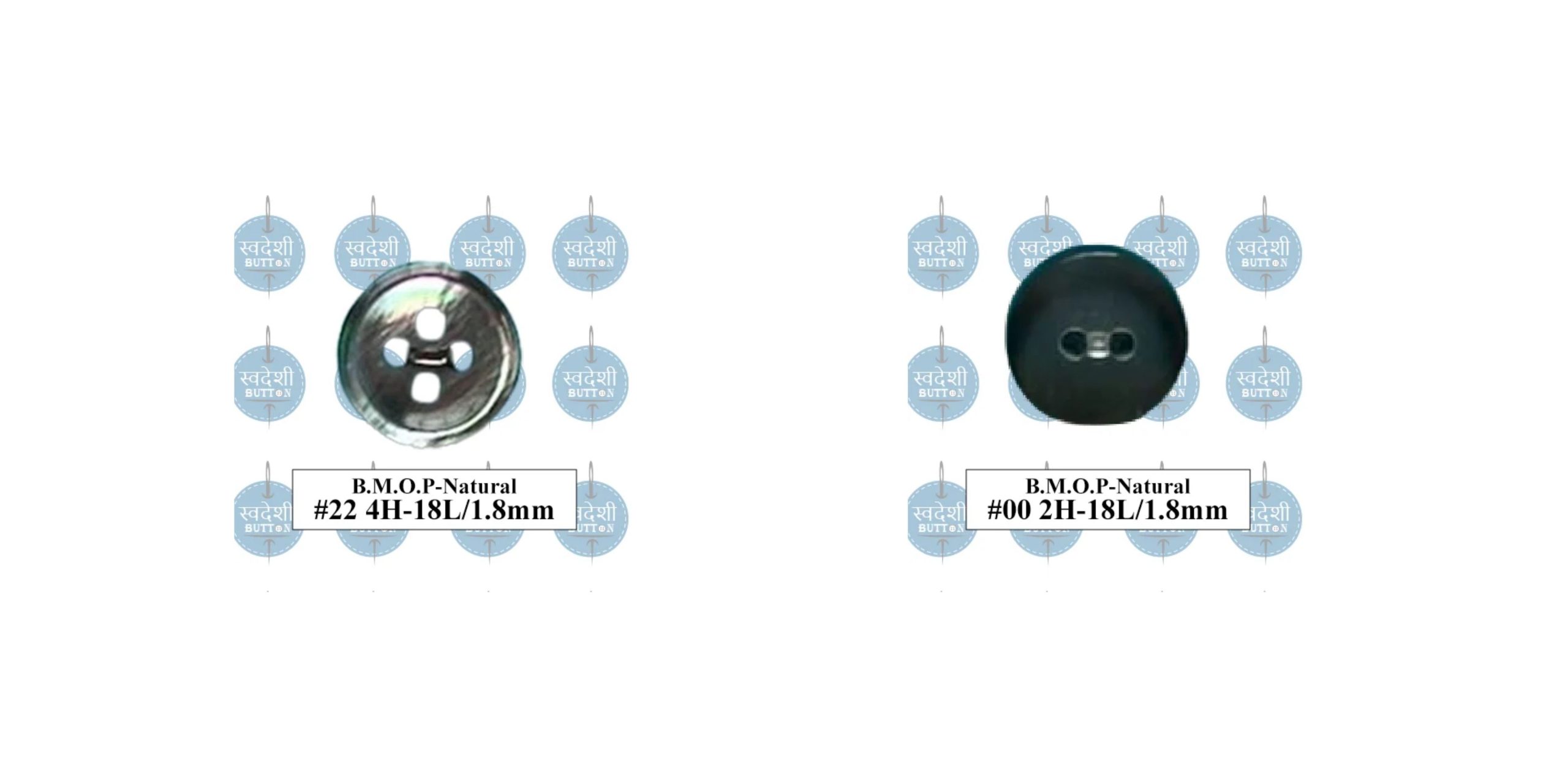 Wholesale Real Shell Buttons in Bangladesh